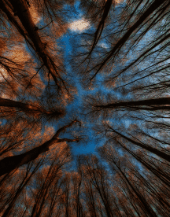 gramantik-peter-dAQSXxDPpPI-unsplash.png